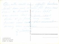 CPM Anemones Peint avec la bouche 