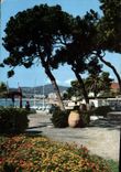 CPM Cote d'Azur Juan les Pins et sa Pinede Fleurie 
