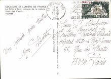 CPM Couleurs et Lumiere de France La Cote d'Azur miracle de la nature Voici des Fleurs 