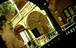 CPM Couleurs et Lumiere de France La Cote d'Azur miracle de la nature Haut de Cagnes A M Patio Renai