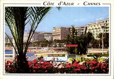 CPM Cote d'Azur Cannes A M La Croisette 