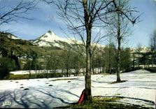 CPM Cantal Pittoresque Les Monts d'Auvergne 