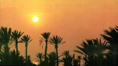 CPM Iles Kerkennah Tunisie Coucher de soleil 