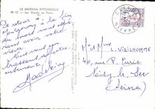 CPM Le Morvan pittoresque  Les Genets en fleurs 