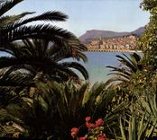 CPM Cote d'Azur Menton A M vue generale 