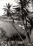 CPM Villefranche sur Mer A M dans son Decor Mediterraneen 