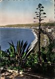 CPM Nice vue generale prise du Chateau 