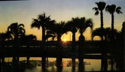 CPM La Cote d'Azur Cannes A M Coucher de Soleil sur les Jardins du Port Canto 