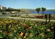 CPM La Cote d'Azur Antibes l'Ilette au fond les Remparts et la Chaine des Alpes 