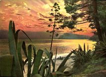 CPM Les Joyaux de la Mediterranee Quand le soleil met sa parure de pourpreet d'or 