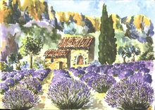 CPM La Provence Pittoresque dans les Lavandes en fleurs 