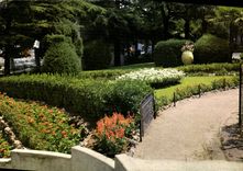 CPM Paysage de Provence Draguignan Jardin Pulic Place de la Victoire 