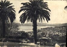 CPM La Cote d'Azur Cannes 