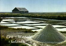 CPM En pays Guerandais les marais salants au crepuscule le Mouion 