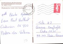 CPM Bambuseraie de Prafrance Generargues Anduze