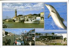 CPM En Camargue Le Grau du Roi Gard 