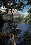 CPM Vallee d'Aure les bords du lac d'Oredon Vue sur le barrage de Cap de Long 