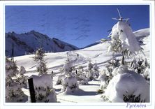 CPM Les Pyrenees Feerie de l'Hiver 