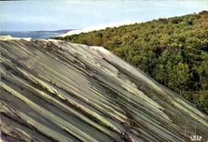 CPM Bassin d'Arcachon Ay Pyla les Dunes les plus hautes d'Europe 