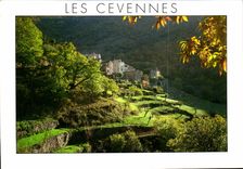 CPM Paysages des Cevennes Hameau Cevenol avec les Bancels culture en etage 