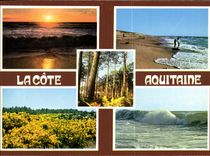 CPM La Cote Aquitaine 