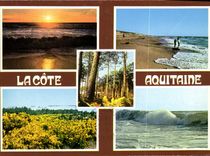 CPM La Cote Aquitaine 