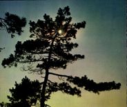 CPM Bassin d'Arcachon La Lune sartant des nuages noirs 