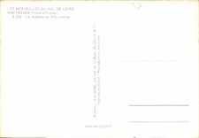 CPM Les Merveilles Du Val de Loire Montresor Indre et Loire 