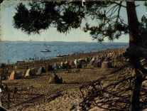CPM Environs de Arcachon Le Moulleau Gironde Plade des Abatilles 