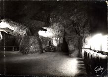 CPM Bourgueil La cave touriste 