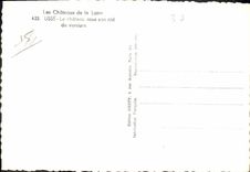 CPM Usse Le Chateau sous son nd de verdure 