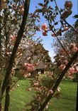 CPM Paysage Normand 