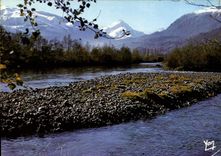 CPM Nos Belles Pyrenees Le Gave de Pau dans la Vallee d'Argeles Gazost 
