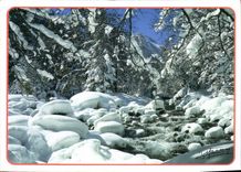 CPM HS Feerie de l'hiver 