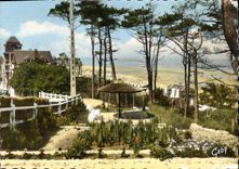 CPM Houlgate Calvados La Plage vue a travers les Pins 