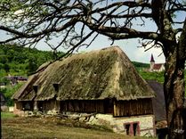CPM La Normandie Pittoresque Chaumiere du Pays d'Auge 