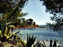 CPM Reflets de la Cote D'Azur 