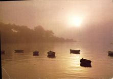 CPM Brume matinale 