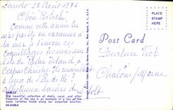 CPM Shells 