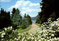 CPM Villa Taranto Viale d'ingresso Verbania Lago Maggiore 