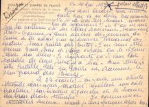 CPM Couleurs et Lumiere de France Cote d'Azur miracle de la nature