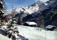 CPM La cabane de l'hiver 