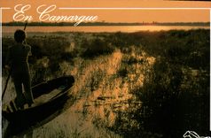 CPM En Camargue L'Etang de Vaccares 