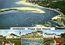 CPM La Cote Fleurie Cabourg Calvados 