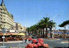 CPM La Cote d'Azur Cannes Le Restaurant Festival et le Carlton 