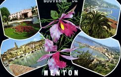 CPM Menton Casino panorama du Port Le Vieille Ville 