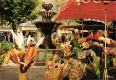 CPM Grasse La Place aux Aires le marche aux fleurs 