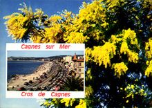 CPM La Cote d'Azur French Riviera Cagnes sur Mer Cros de Cagnes 