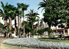 CPM La Cote d'Azur Cannes Le Jardin 