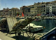 CPM Reflets de la Cote d'Azur Cannes A Mmes Le Quai St Pierre 
